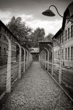 Auschwitz, Nazi toplama kampı
