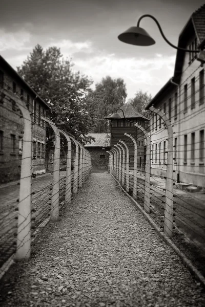 Auschwitz, campo de concentración nazi — Foto de Stock