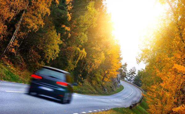 Carro na estrada nos fores — Fotografia de Stock