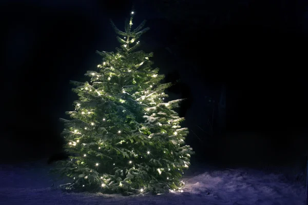 Χριστουγεννιάτικο δέντρο στο χιόνι Φωτογραφία Αρχείου