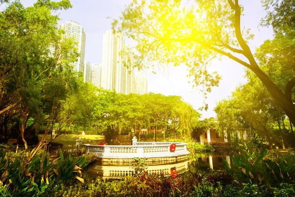 Центральний парк Коулун. Hong Kong. Китай. — стокове фото
