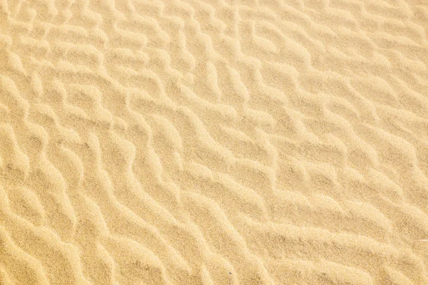The texture of the sand dunes. — Stock Photo, Image