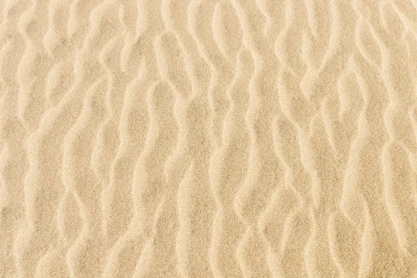 La textura de las dunas de arena . — Foto de Stock