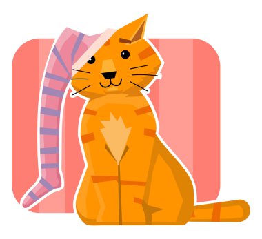 Cat with sock on its ear