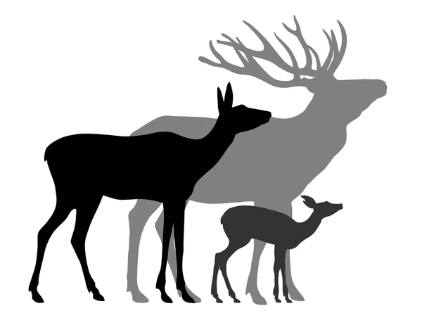 Vector illustration of deers — Stock Vector