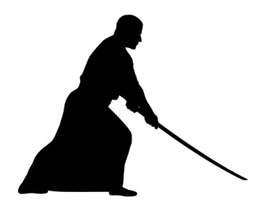 Aikido warrier gösterimi