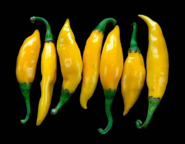 Amarelo Chilies Sobre Fundo Preto — Fotografia de Stock