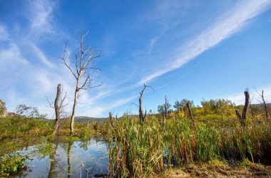 Toluen 'in moleküler yapısının 3d görüntüsü beyaz arkaplan üzerinde izole edildi