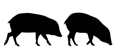 Pgs siluetlerinin soyut vektör çizimi