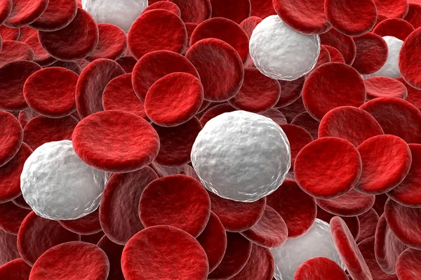 Červené a bílé krvinky — Stock fotografie