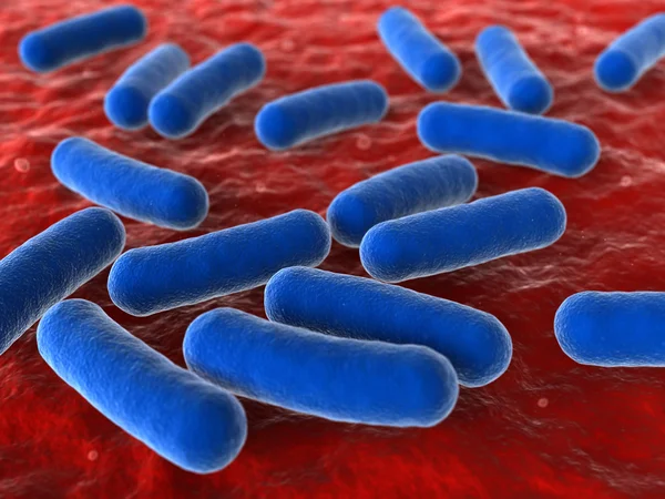 細菌 — ストック写真