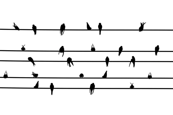 Schwalben — Stockvektor