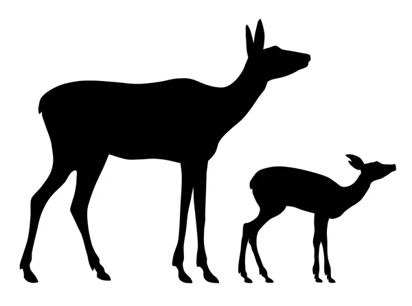 Doe and her baby — Stock Vector