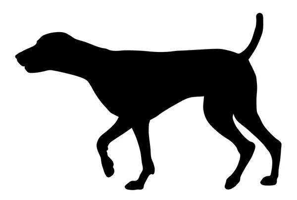 Perro de caza — Vector de stock