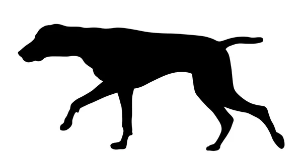 Perro de caza — Vector de stock