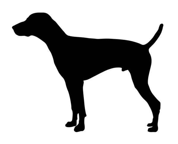 Perro de caza — Vector de stock