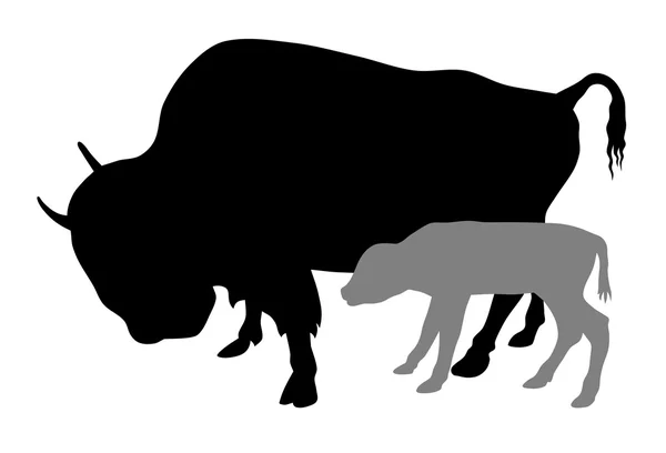 Búfalos — Vetor de Stock