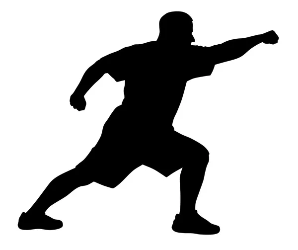 Kampfsportübungen — Stockvektor