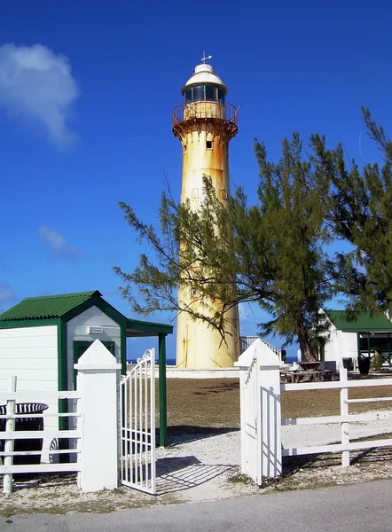 Karaiby latarni — Zdjęcie stockowe