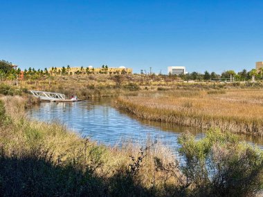 Pensacola, Florida 'daki Bruce Beach Parkı' nda uzun otlar ve kamışlarla çevrili sakin bir sulak alan boyunca uzanan dar bir su kanalı. Beyaz metal iskelesi olan küçük bir rıhtım sakin sulara doğru uzanır ve çevredeki bitkileri yansıtır. Şeyde...