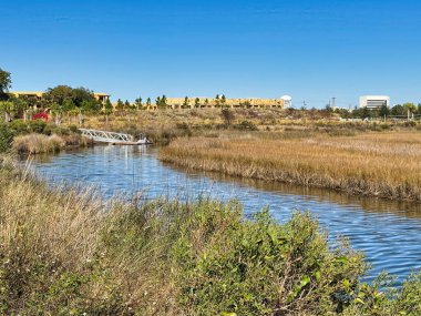 Pensacola, Florida 'daki Bruce Beach Parkı' nda uzun otlar ve kamışlarla çevrili sakin bir sulak alan boyunca uzanan dar bir su kanalı. Beyaz metal iskelesi olan küçük bir rıhtım sakin sulara doğru uzanır ve çevredeki bitkileri yansıtır. Şeyde...