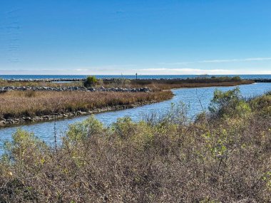 Yoğun otlar ve bitki örtüsüyle çevrili dolambaçlı bir su yolu Pensacola, Florida 'daki Bruce Beach Park' taki kıyı sularından akar..