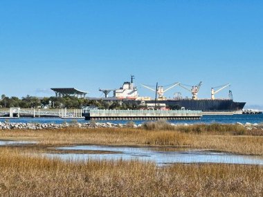 Büyük bir kargo gemisi Pensacola, Florida 'daki Bruce Beach Parkı' na yanaştı. Güvertede deniz operasyonları için vinçler var..