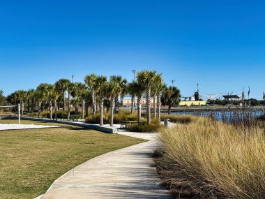 Pensacola, Florida 'daki Bruce Beach Park manzarasında palmiye ağaçlarıyla kaplı çimenli arazide kıvrımlı bir kaldırım yolu yer alıyor..