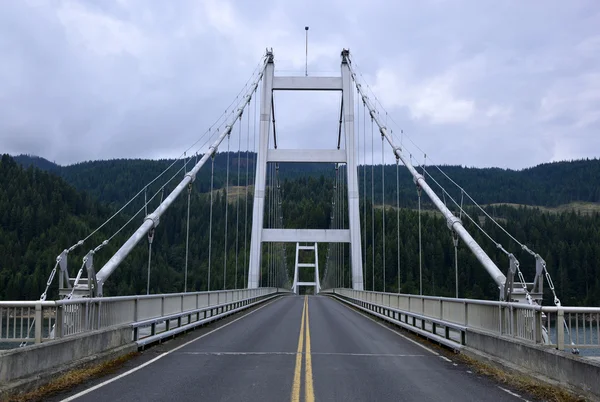 Grande ponte metálica — Fotografia de Stock