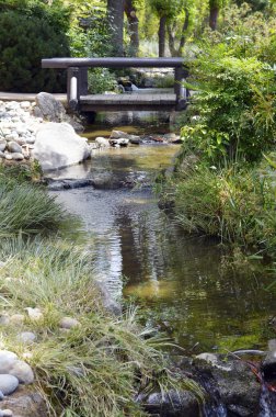 yeşil bir Japon bahçesi