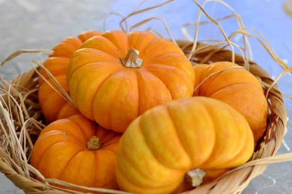 Pumpkin. — Stock Photo, Image