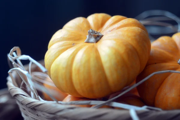 Pumpkin. — Stock Photo, Image