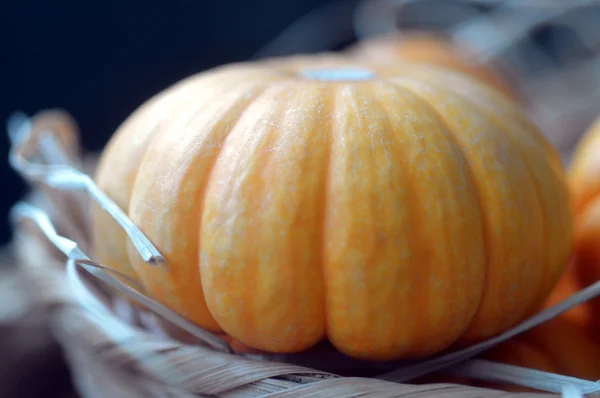 Calabaza. —  Fotos de Stock