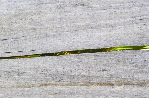 Fundo de madeira . — Fotografia de Stock