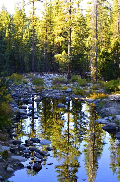 Río de montaña. —  Fotos de Stock