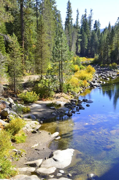 Rivière de montagne. — Photo