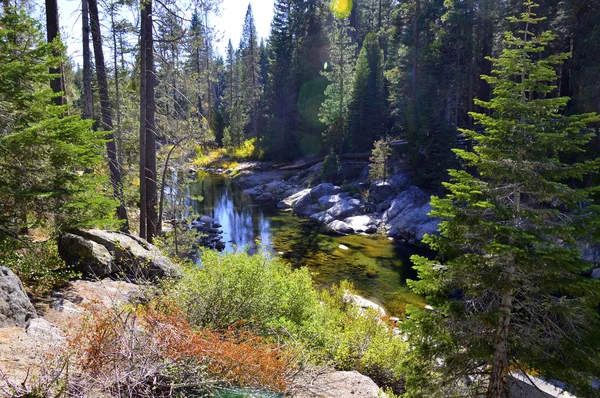 Río de montaña. — Foto de Stock