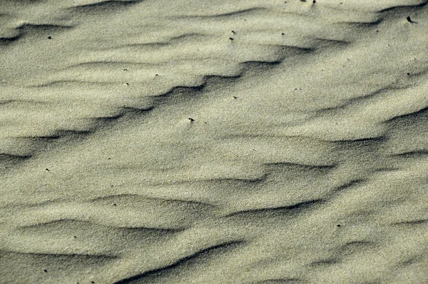 Playa del océano de arena . — Foto de Stock