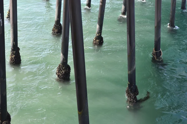 Pismo, Playa, Muelle — Foto de Stock