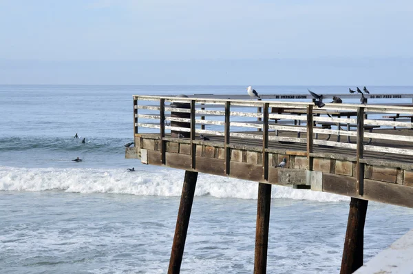 Pismo, Beach, Pier — Stock Photo, Image