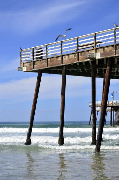 Pismo, Spiaggia, Molo — Foto Stock