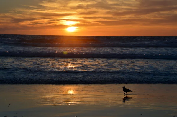 Puesta de sol y océano . — Foto de Stock