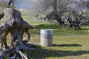 Parktaki çöp kutusu..