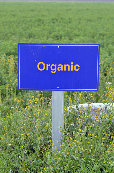 органические продукты.