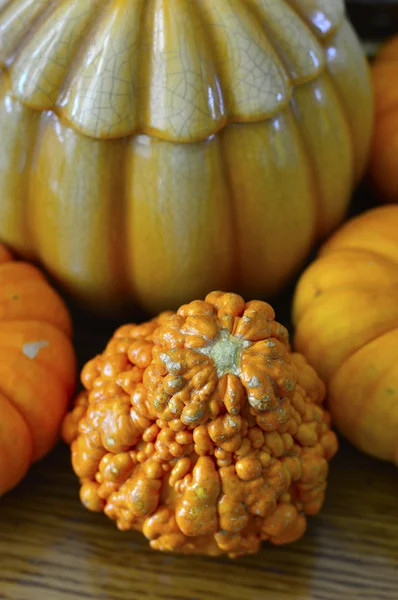 Pumpkin. — Stock Photo, Image