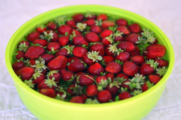 Fresas maduras . — Foto de Stock