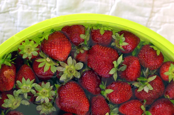 Fresas maduras . — Foto de Stock