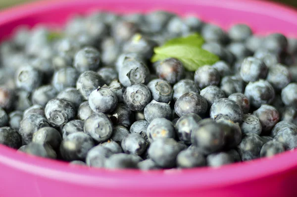 Blaubeeren. — Stockfoto