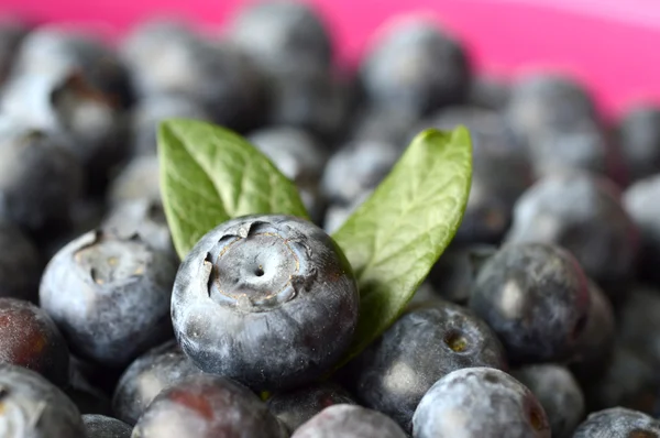 Blaubeeren. — Stockfoto