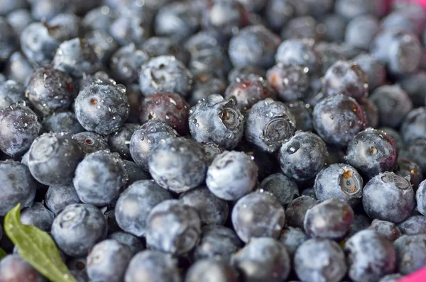 Blueberries berry. — Stock Photo, Image
